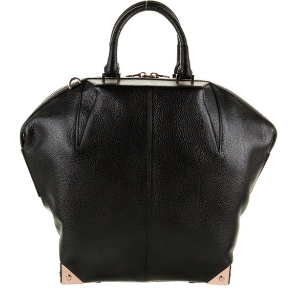 Alexander Wang Handbags - Alexander Wang Large Emile Tote